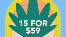 15/$59 Cartridges 1g – Rocket Blast, Bossy, Hig… image