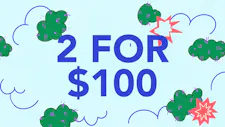 2/$100 Wax 7g – Cannalicious, True North Collec… image
