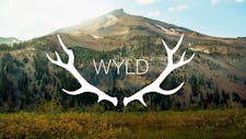 30% OFF - WYLD Wednesday image