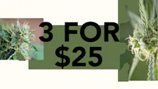 3/$25 Wax 1g – Fresh Canna, Jungle Juice, Grab… image