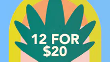 12/$20 Gummies 200mg – Dank Extracts Nerds, Dan… image