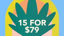 15/$79 Cartridges 1g – Mac Pharms, Platinum Vap… image