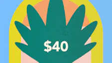 $40 Rosin 1g – Michigrown, Superb Cannabis Co.,… image