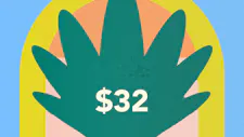 $32 Disposable 1g – O.pen, Pax image