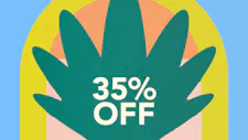 35% Off (the) Essence image