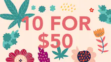 10-for-$50 Hustler's Ambition 1g Pre-rolls image