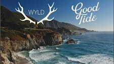 Wyld Friday! 40% OFF ALL Wyld Products! image