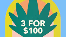 3/$100 Wax 5g – Anarchy Extracts, Society C, Zo… image
