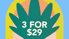 3/$29 Disposables 1g – Mitten Extracts image