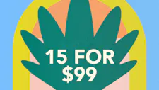 15/$99 Cartridges 1g – Jungle Juice, RedBud Roo… image