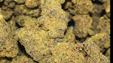15% off Caviar @ NuVue!! image