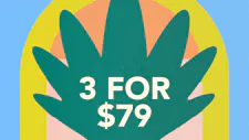 3/$79 Live Resin Disposable 4g – Stickee image