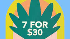7/$30 Singles 1g – Cali Blaze, Be One Kind, Bloom image