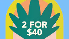 2/$40 Rosin Gummies 200mg – Good Tide Ratio image