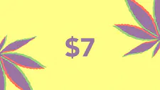 $7 Gummies 200mg – Frostbites image