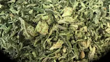 1/2 Half Ounce (14 Grams) Shake $20 image