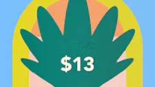 $13 Infused Pre-Roll 1g – Jeeter image