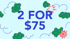 2/$75 Rosin 1g – Wojo, Peninsula Gardens, North… image
