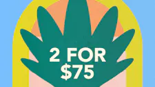 2/$75 Rosin 1g – Peninsula Gardens, Localgrove,… image