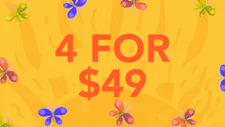 Panda: 100mg FECO Gummies | 4 for $49 image