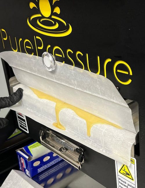 Harbor House Collective Dispensary Menu, Reviews & Photos