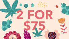 2/$75 Rosin 1g – Edun image