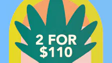 2/$110 Disposable 2g – Fat Grams image