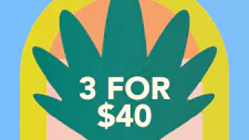 3/$40 Baked Goods – Jungle Juice, Gelato Canna… image