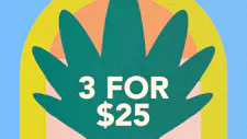 3/$25 Wax 1g – Fresh Canna, Jungle Juice, Grab… image