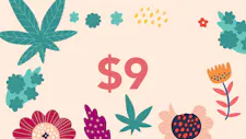 $9 Vital 100mg Gummies image