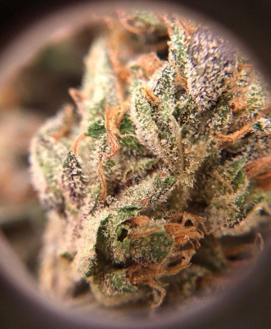 The Phoenix Dispensary (Med/Rec) Tolleson, AZ Dispensary Leafly