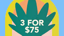 3/$75 Wax 5g – Strange Labs, Fresh Canna image