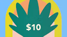 $10 Wax 1g – Fresh Canna, Jungle Juice, Grab &… image