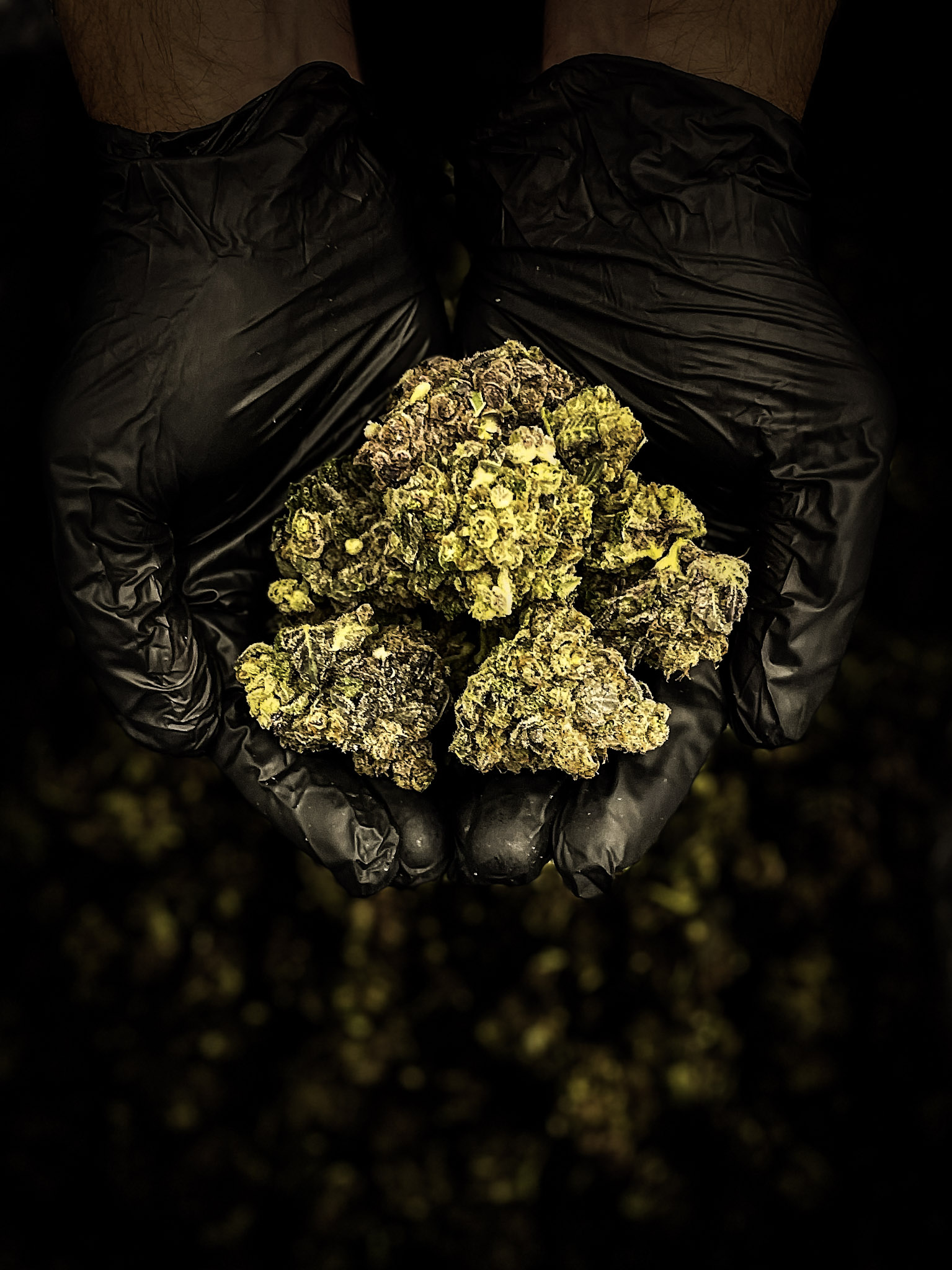 Square Grouper Dispensary Gravois Mills, MO Dispensary Leafly