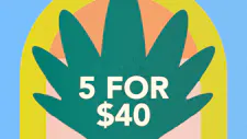 5/$40 Cartridges 3g – Berry Green image