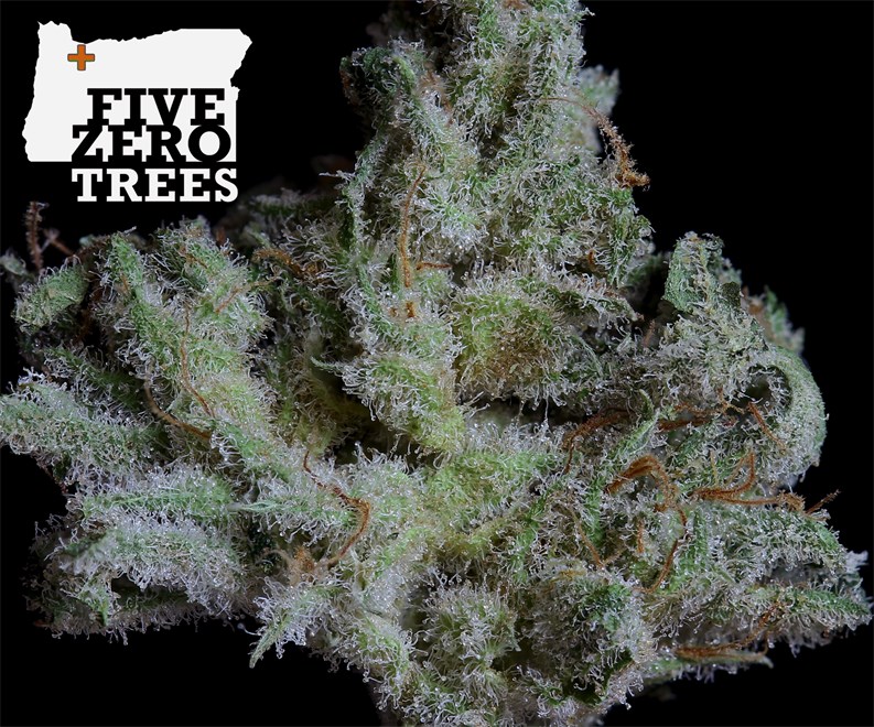 Five Zero Trees East Portland, OR Dispensary Leafly