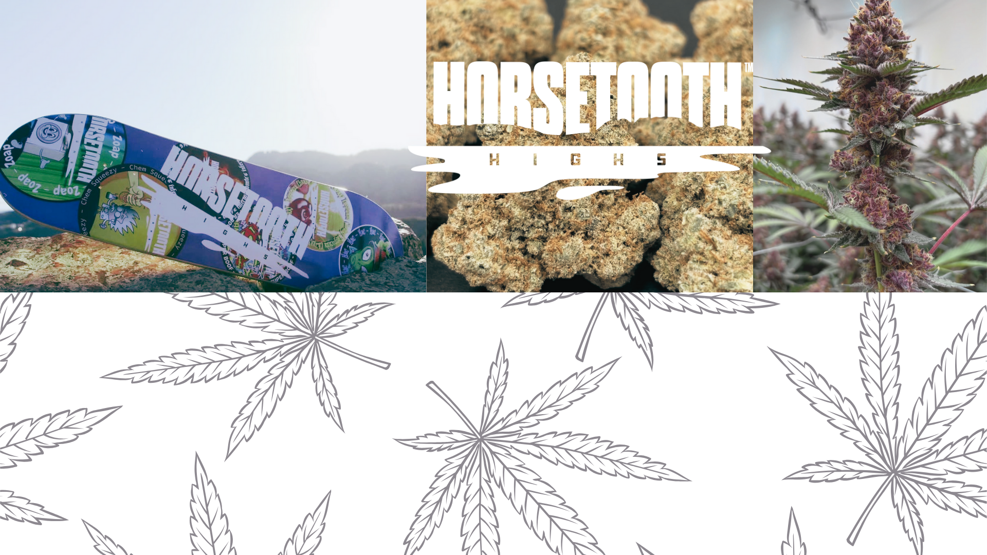 Flower Power Botanicals (Recreational)