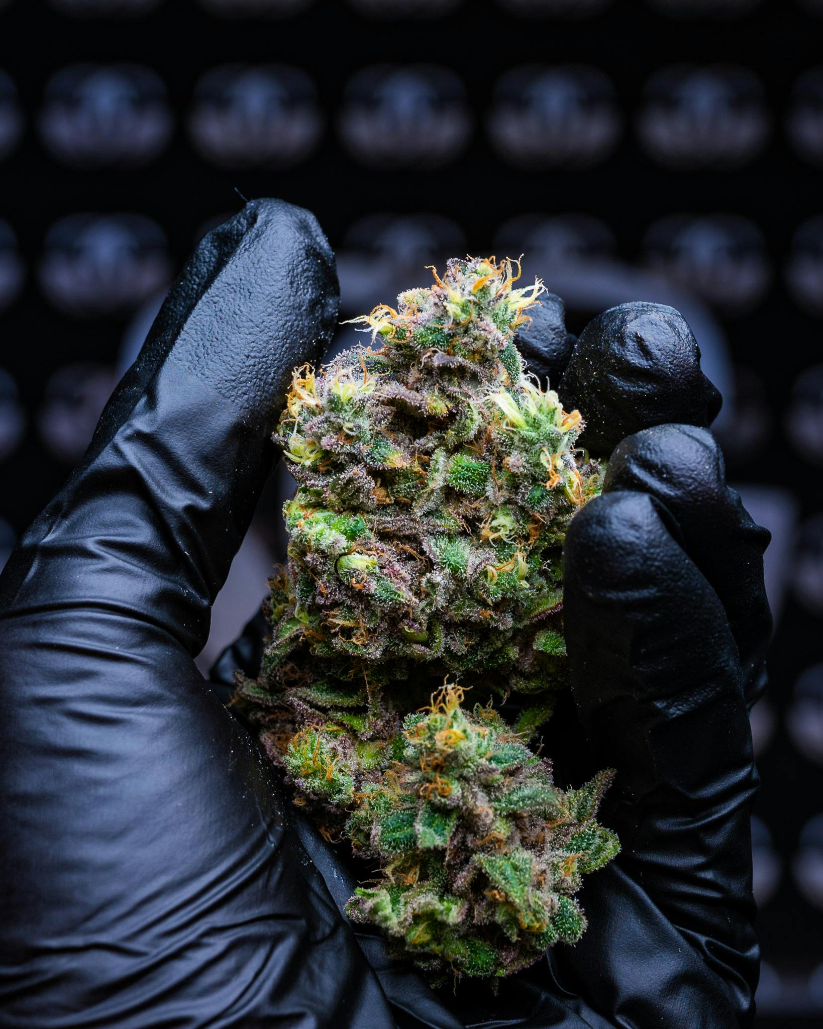 AYR Dispensary - Woodbridge (Med) | Woodbridge, NJ Dispensary | Leafly