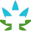 Logo for Oasis Cannabis - Seaside