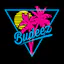 Logo for Budeez