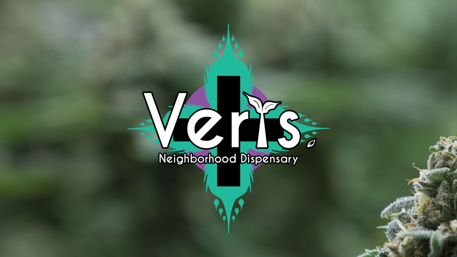 Verts Neighborhood Dispensary Dispensary Menu, Reviews & Photos