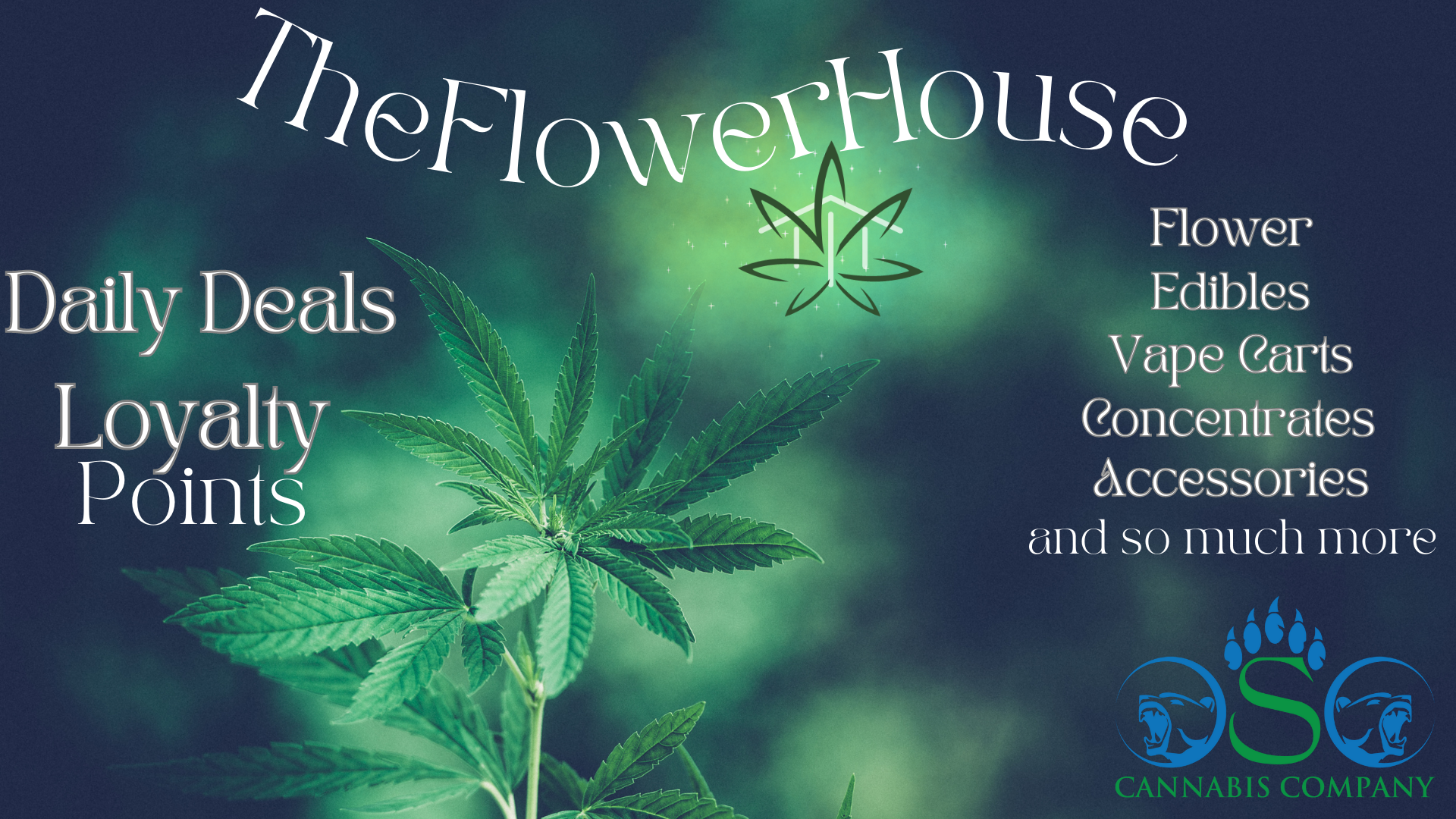 OSO Cannabis Company - Roswell — Dispensaries in Roswell, NM