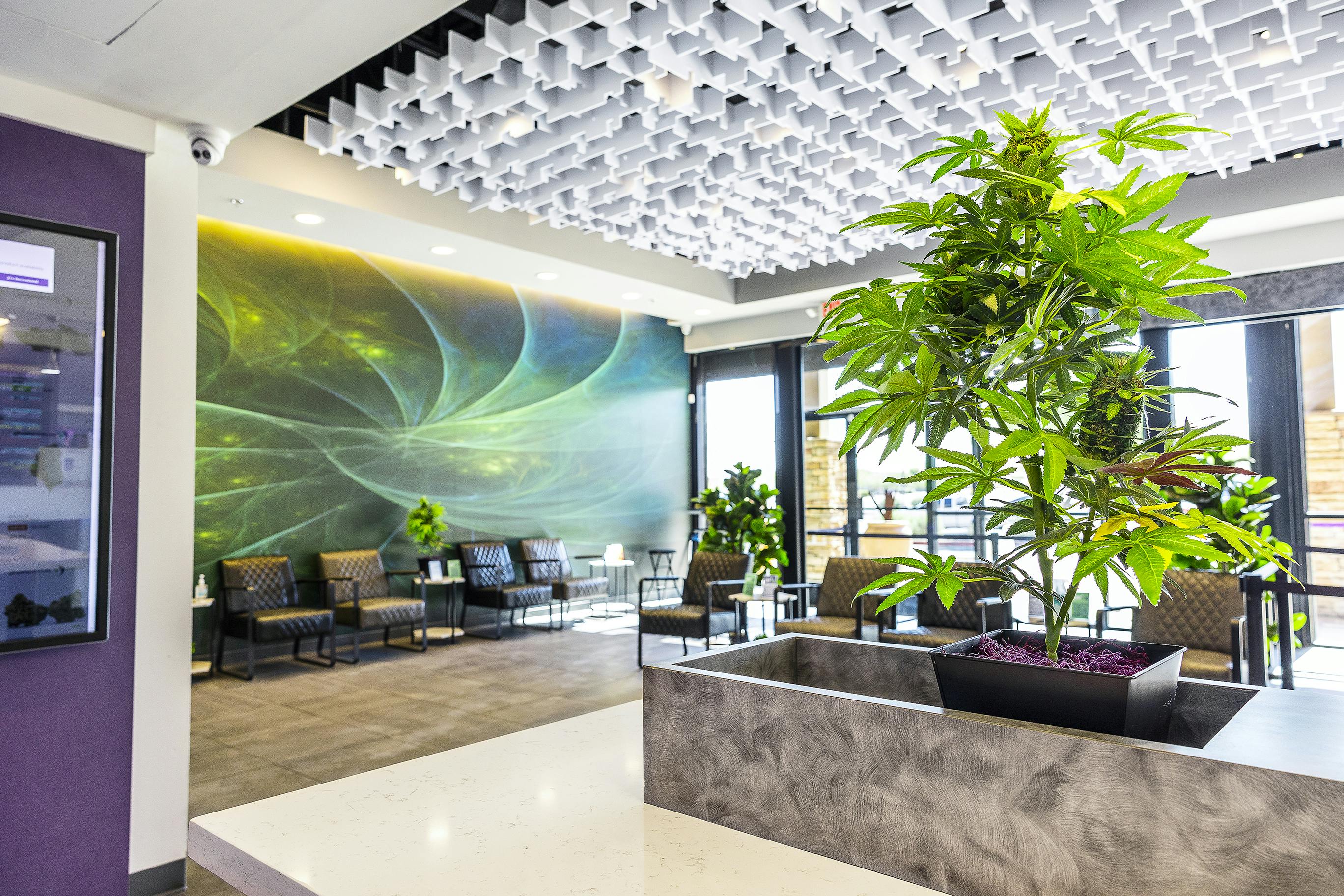 Phoenix Relief Center (Med/Rec) Phoenix, AZ Dispensary Leafly