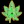 The Greener Side: Eugene