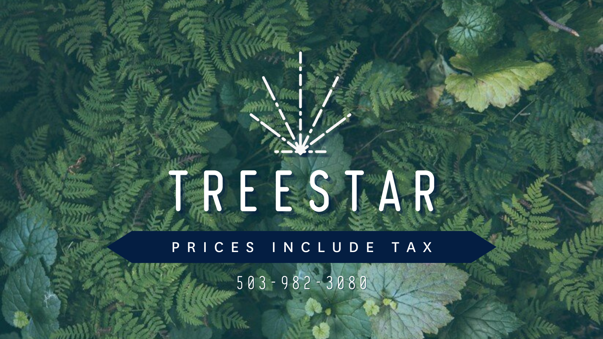 Treestar - Woodburn