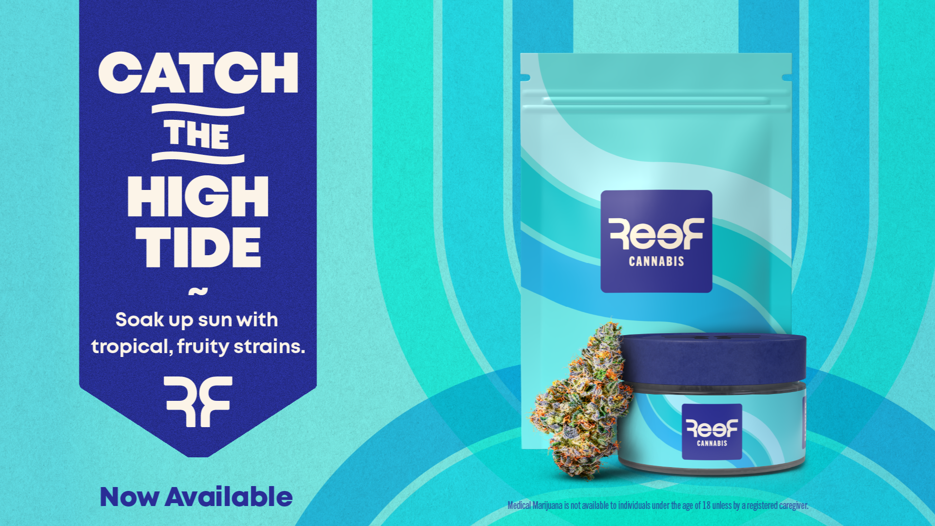 Curaleaf - South Miami Dade (CLOSED) — Dispensaries in Miami, FL
