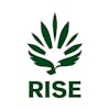 RISE Dispensaries York