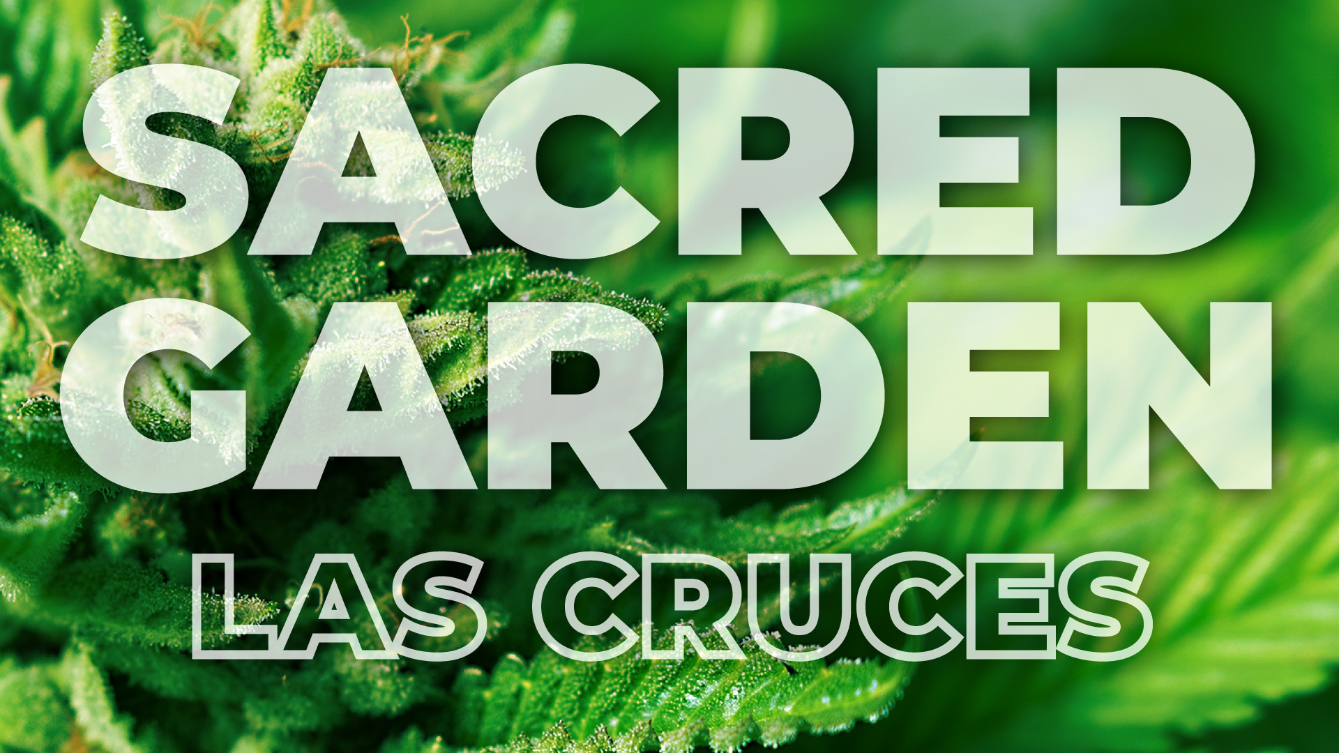 Sacred Garden - Las Cruces — Dispensaries in Las Cruces, NM