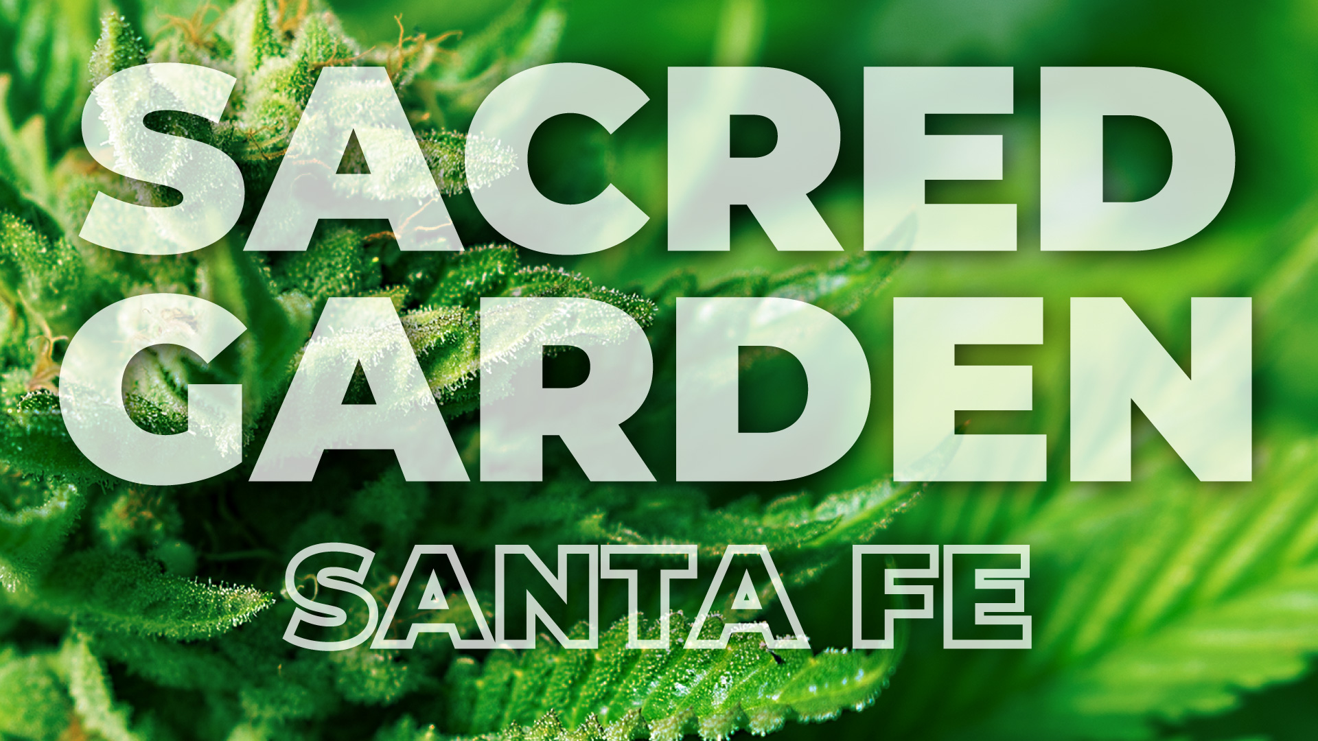 Sacred Garden - San Mateo — Dispensaries in Albuquerque, NM