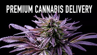 Cover photo for High Tide